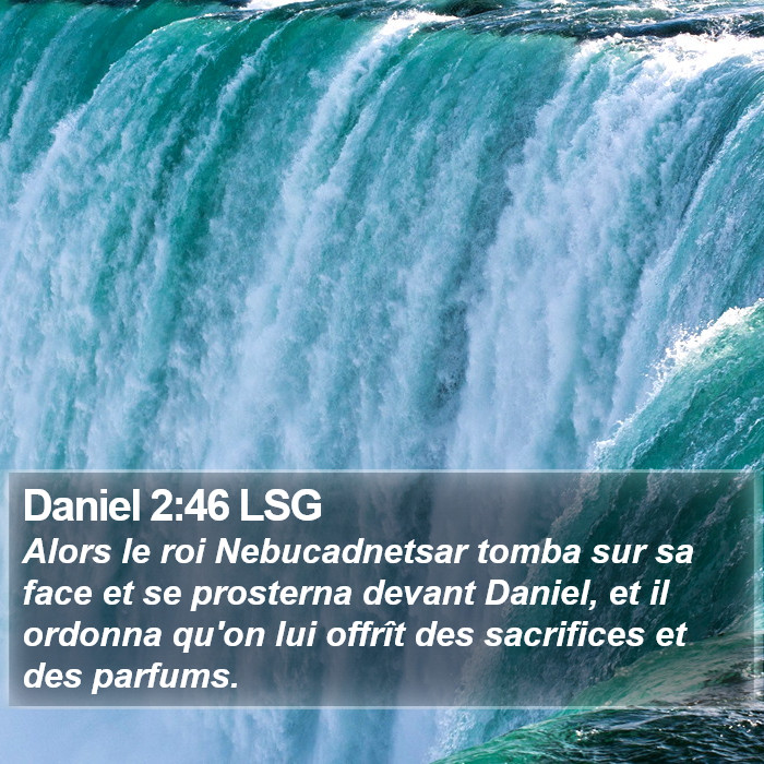 Daniel 2:46 LSG Bible Study