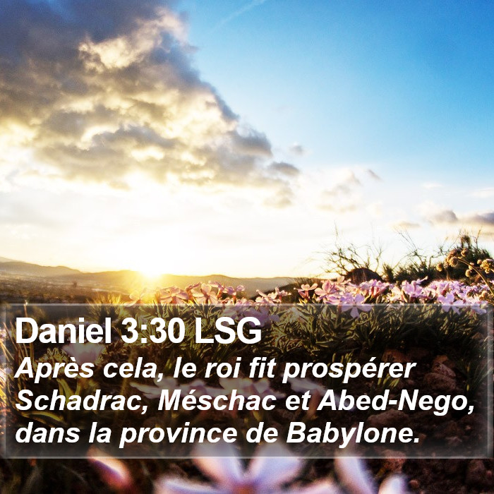 Daniel 3:30 LSG Bible Study