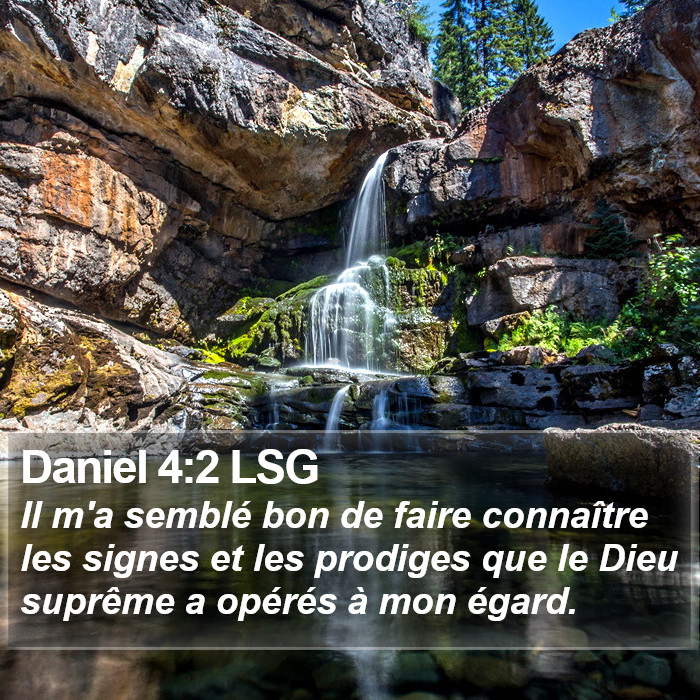 Daniel 4:2 LSG Bible Study