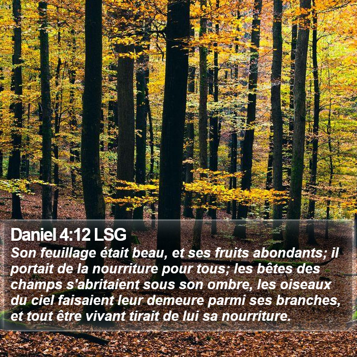 Daniel 4:12 LSG Bible Study