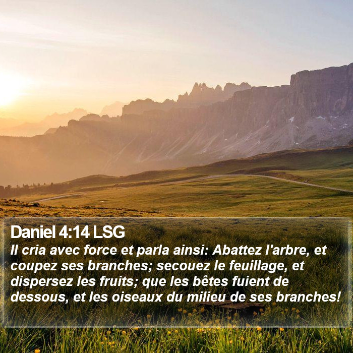 Daniel 4:14 LSG Bible Study