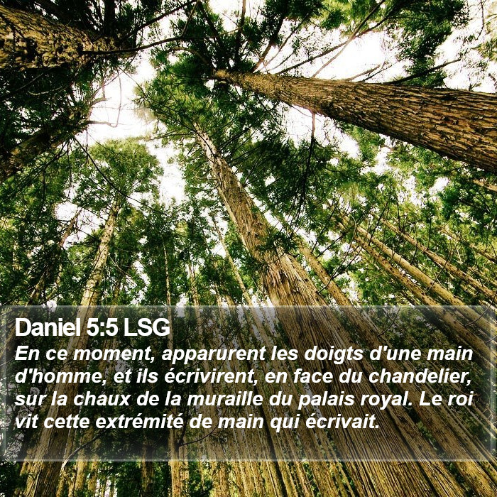 Daniel 5:5 LSG Bible Study