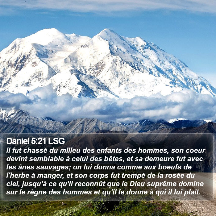 Daniel 5:21 LSG Bible Study