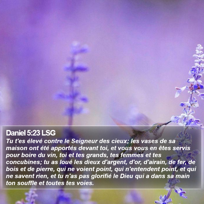 Daniel 5:23 LSG Bible Study