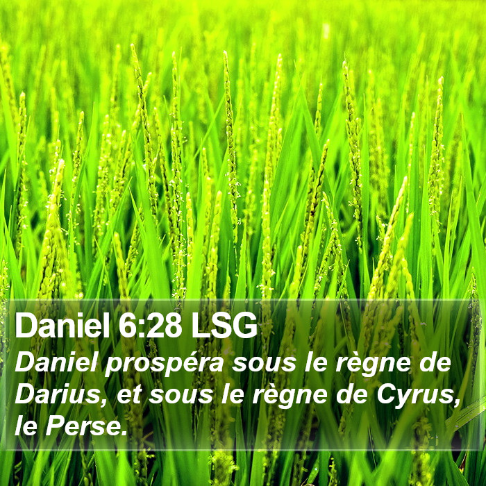 Daniel 6:28 LSG Bible Study