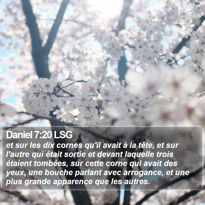 Daniel 7:20 LSG Bible Study