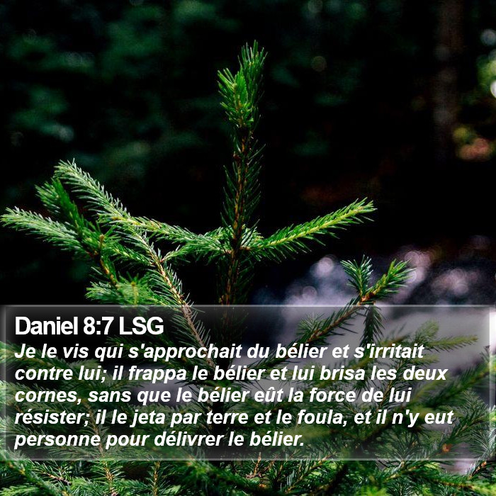 Daniel 8:7 LSG Bible Study