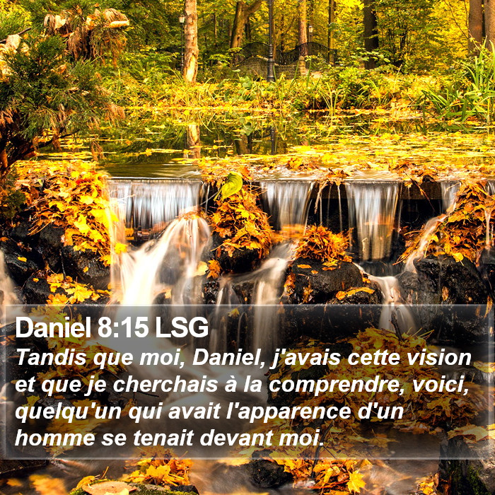 Daniel 8:15 LSG Bible Study