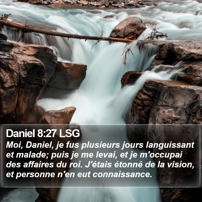 Daniel 8:27 LSG Bible Study