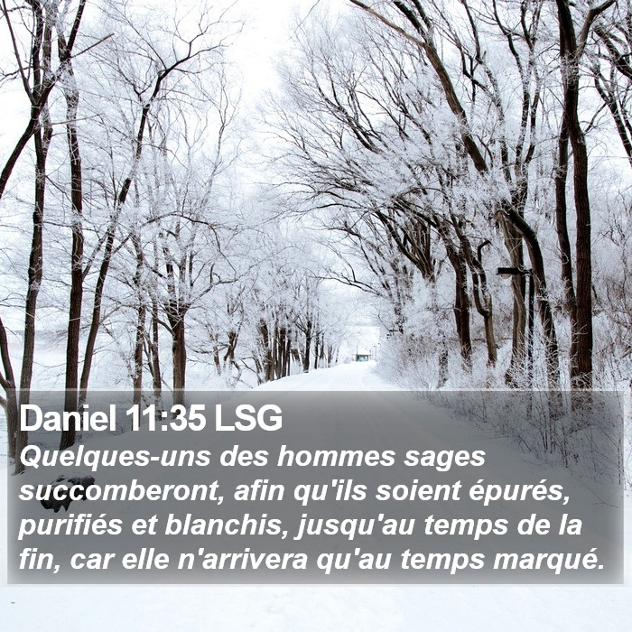 Daniel 11:35 LSG Bible Study