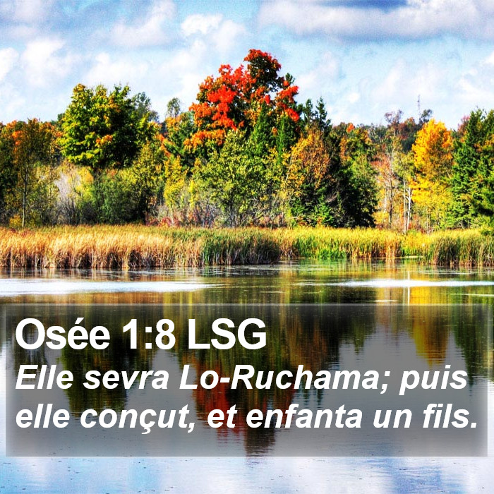 Osée 1:8 LSG Bible Study