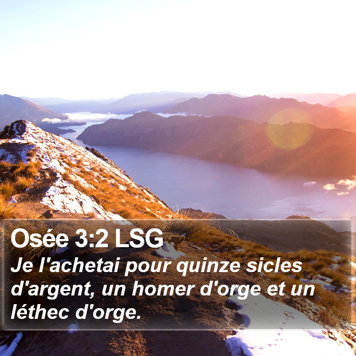 Osée 3:2 LSG Bible Study