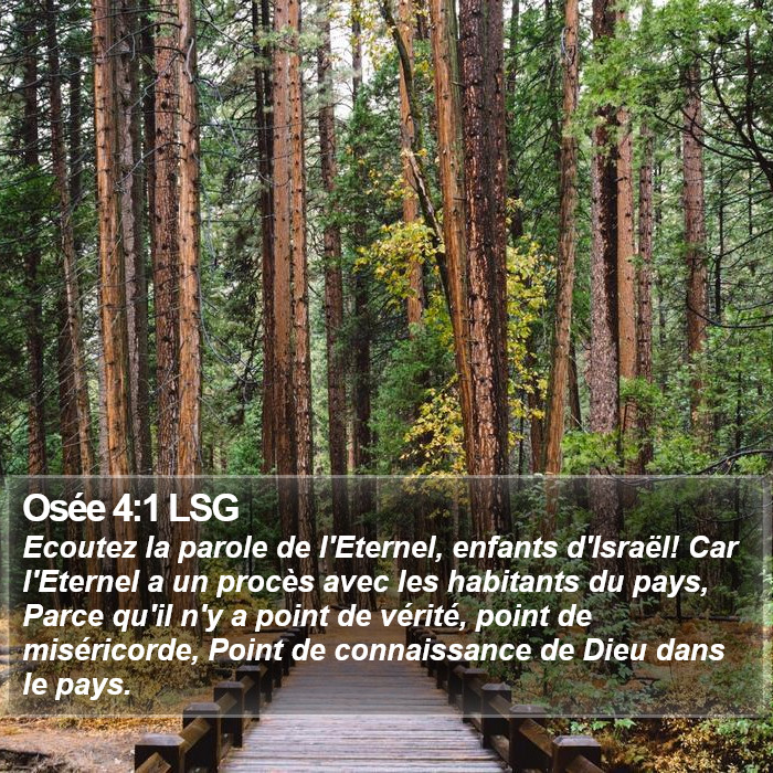 Osée 4:1 LSG Bible Study
