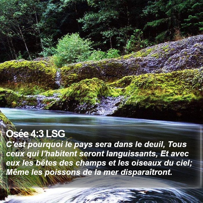 Osée 4:3 LSG Bible Study