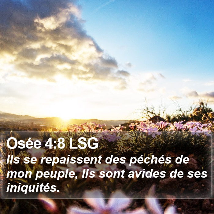 Osée 4:8 LSG Bible Study