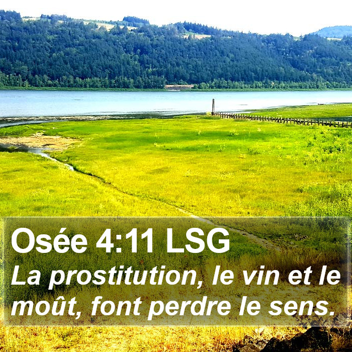 Osée 4:11 LSG Bible Study