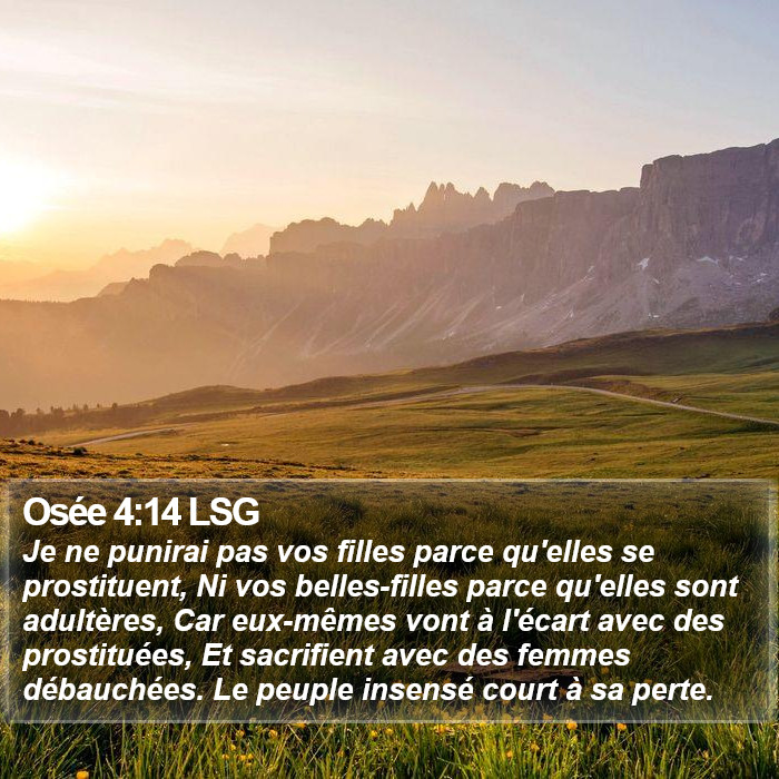 Osée 4:14 LSG Bible Study