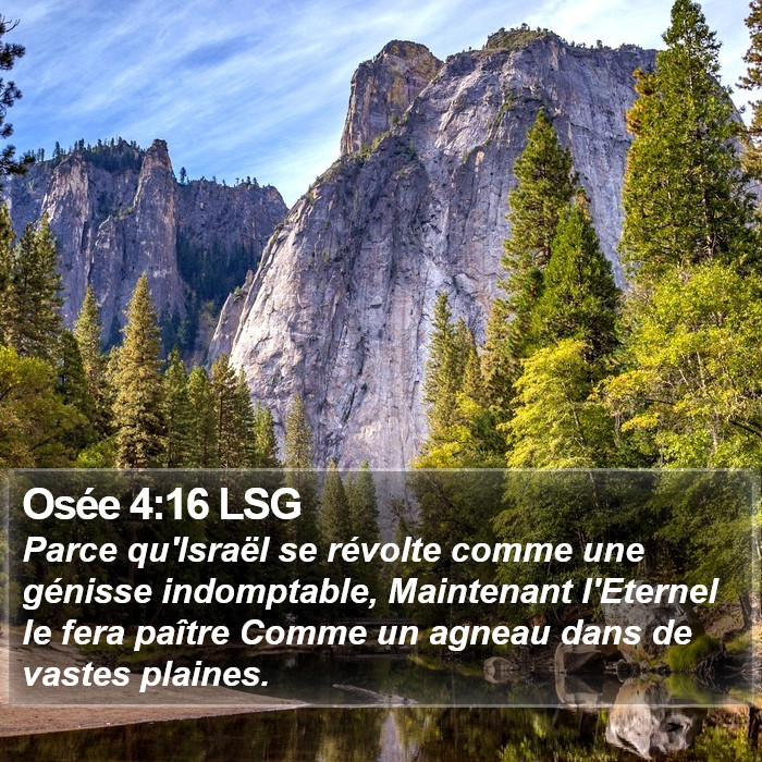 Osée 4:16 LSG Bible Study