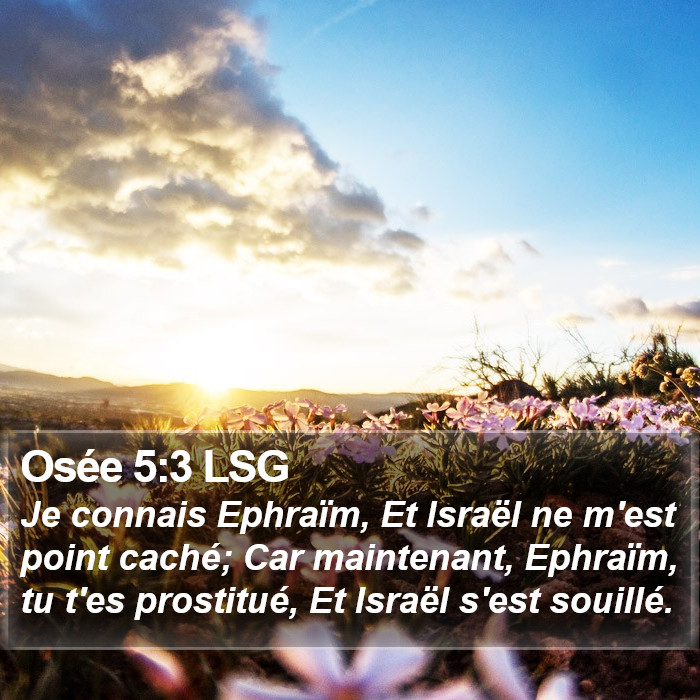 Osée 5:3 LSG Bible Study