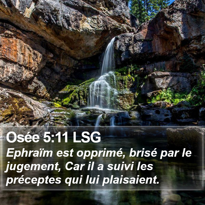 Osée 5:11 LSG Bible Study