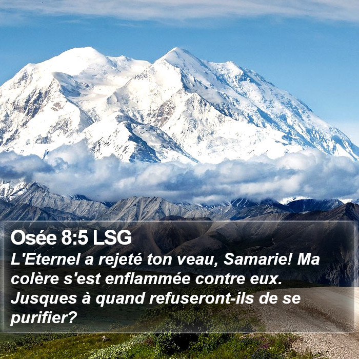 Osée 8:5 LSG Bible Study