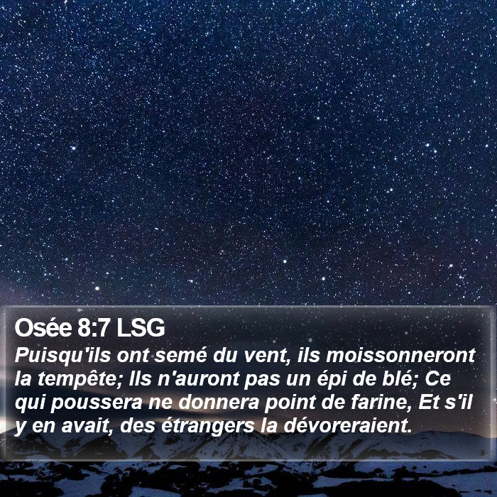 Osée 8:7 LSG Bible Study