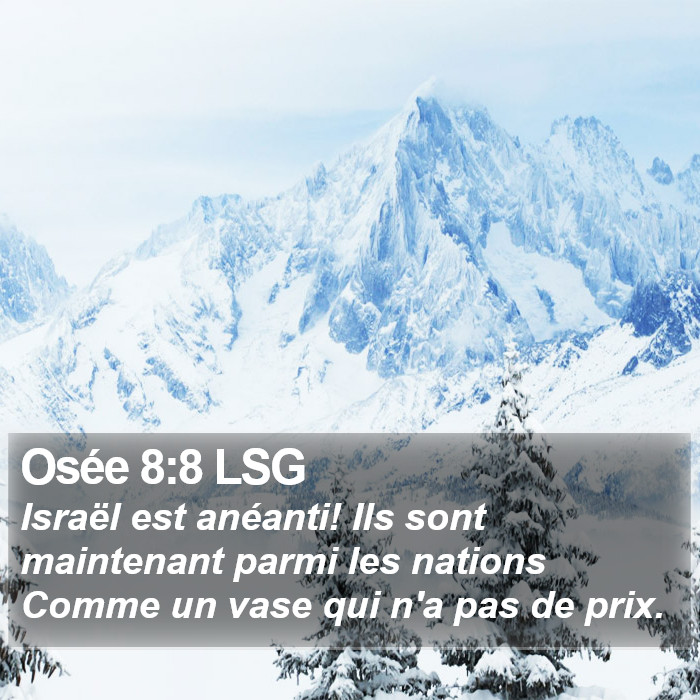 Osée 8:8 LSG Bible Study