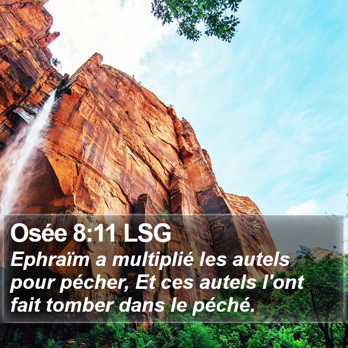 Osée 8:11 LSG Bible Study