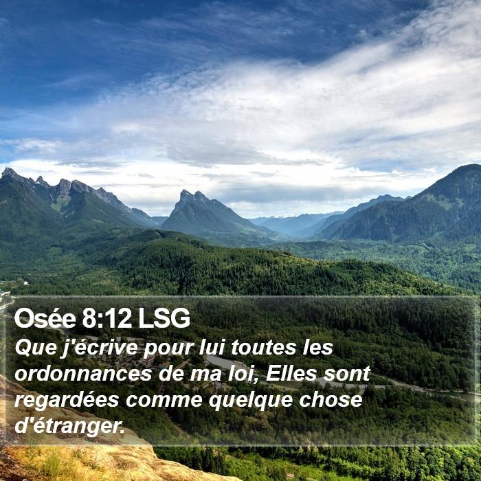 Osée 8:12 LSG Bible Study