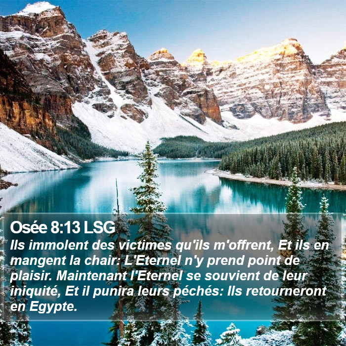 Osée 8:13 LSG Bible Study