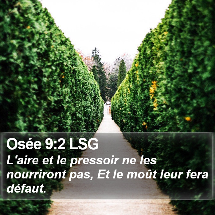 Osée 9:2 LSG Bible Study