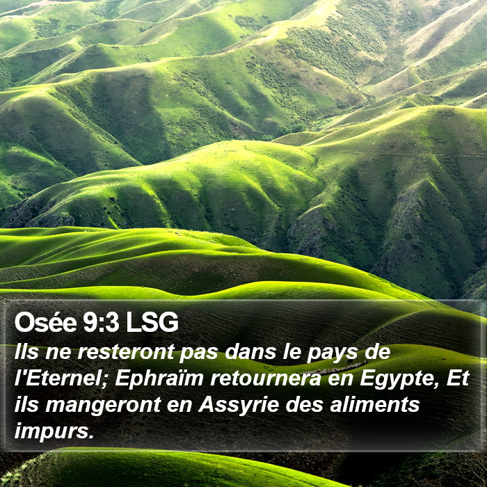 Osée 9:3 LSG Bible Study