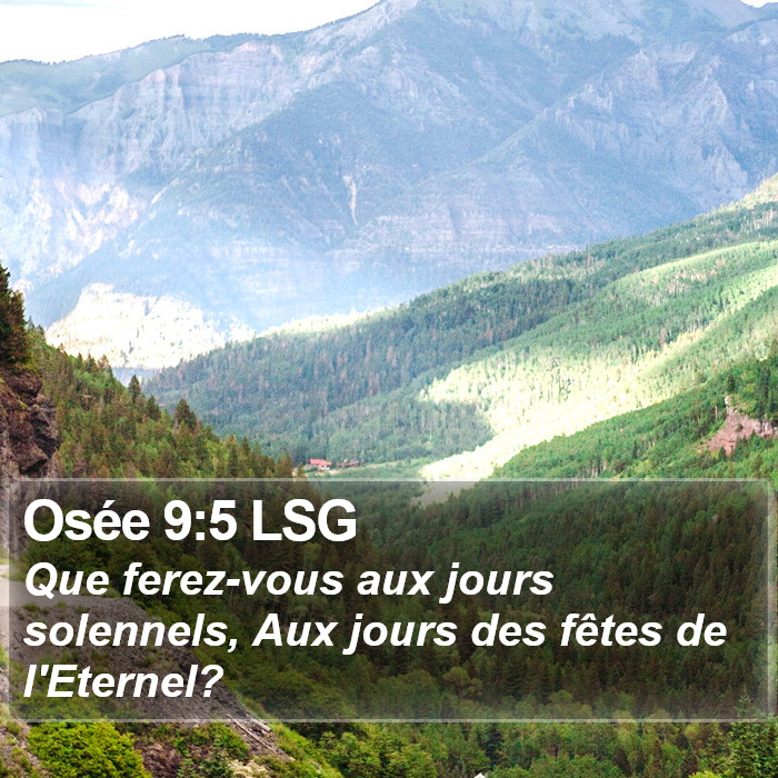 Osée 9:5 LSG Bible Study