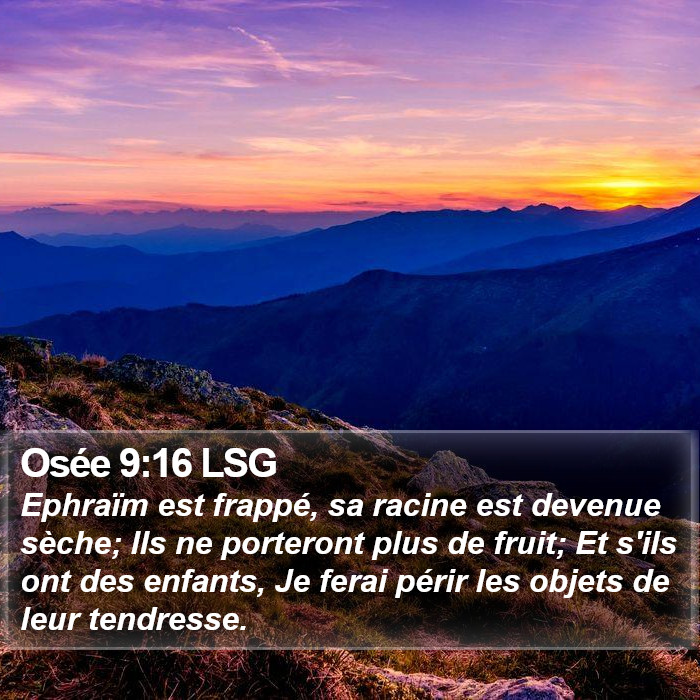 Osée 9:16 LSG Bible Study