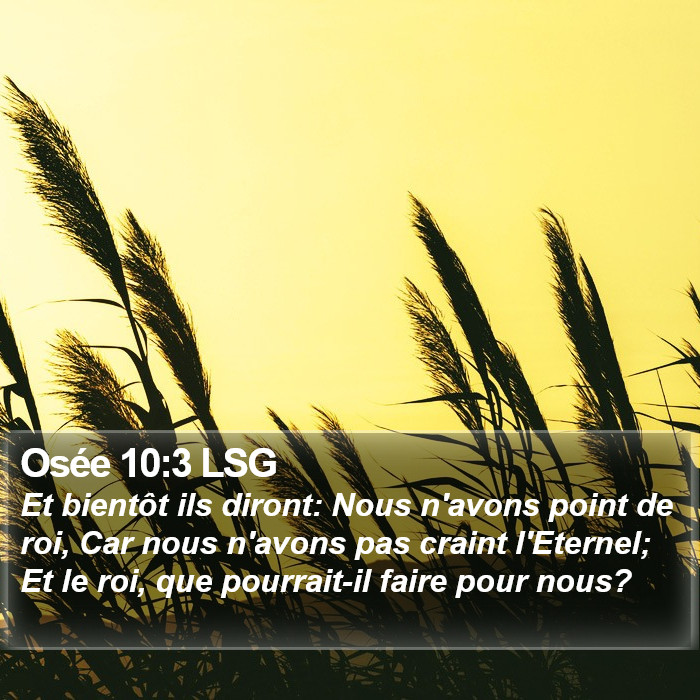 Osée 10:3 LSG Bible Study