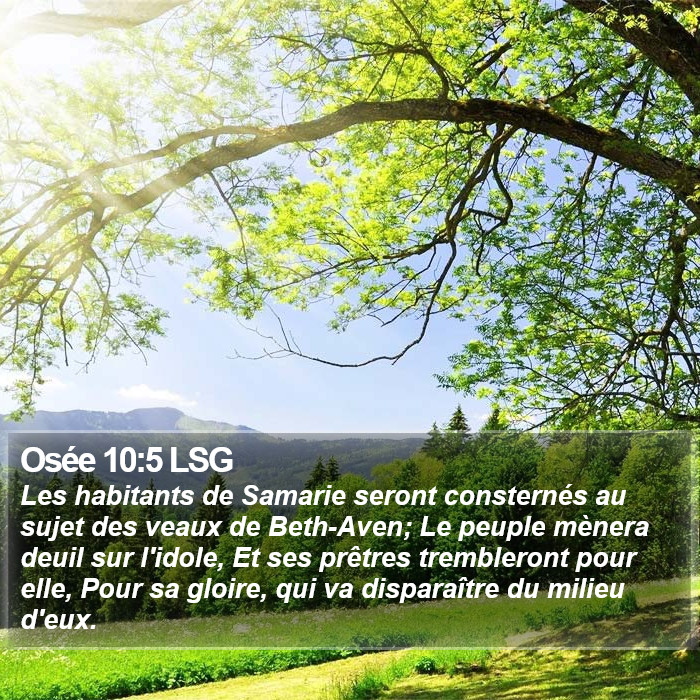 Osée 10:5 LSG Bible Study