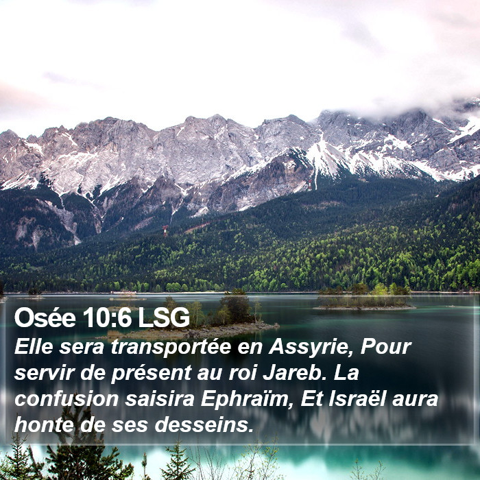 Osée 10:6 LSG Bible Study