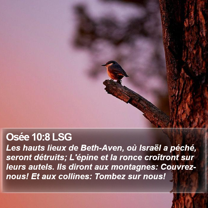 Osée 10:8 LSG Bible Study