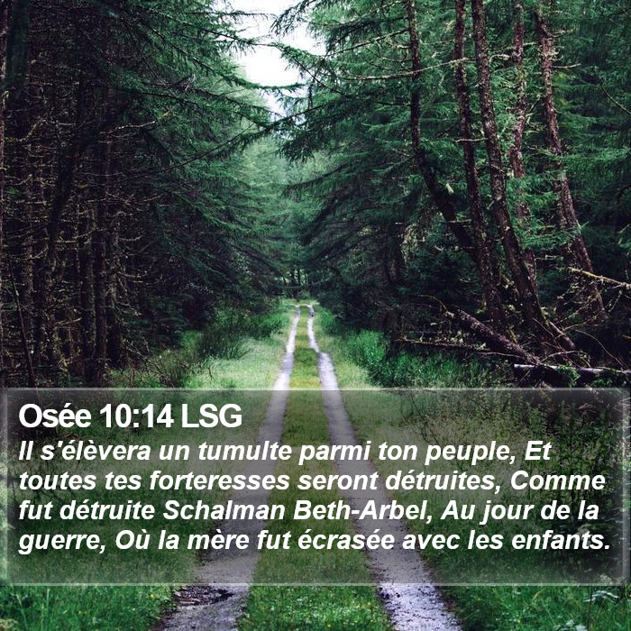 Osée 10:14 LSG Bible Study