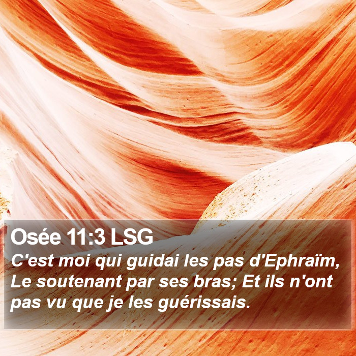Osée 11:3 LSG Bible Study