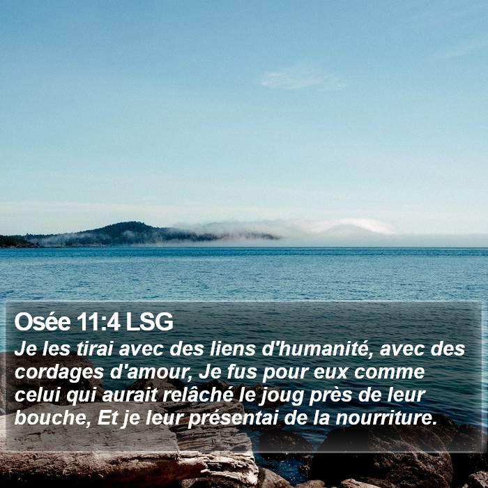 Osée 11:4 LSG Bible Study