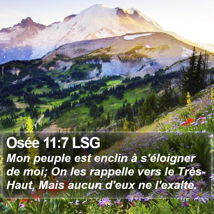 Osée 11:7 LSG Bible Study
