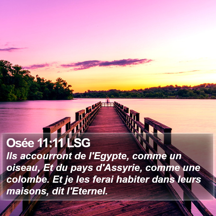 Osée 11:11 LSG Bible Study