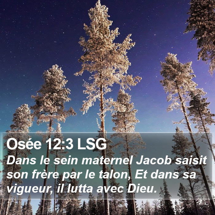Osée 12:3 LSG Bible Study