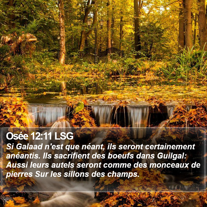 Osée 12:11 LSG Bible Study