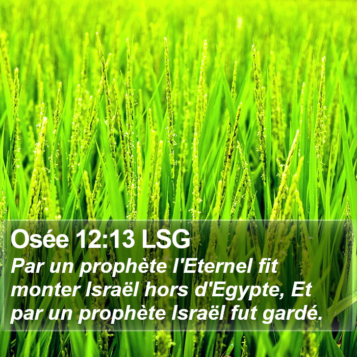 Osée 12:13 LSG Bible Study
