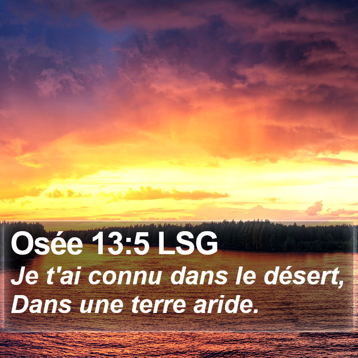 Osée 13:5 LSG Bible Study