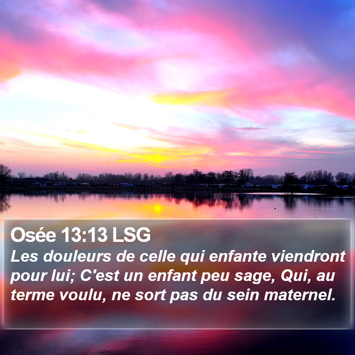 Osée 13:13 LSG Bible Study