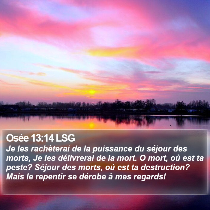 Osée 13:14 LSG Bible Study