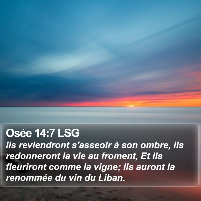 Osée 14:7 LSG Bible Study